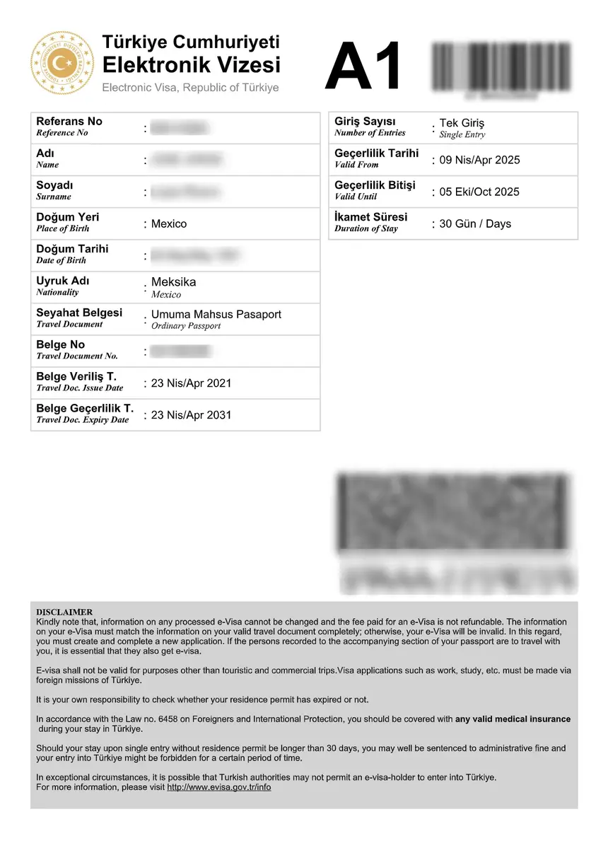 Turkey Evisa eVisa sample